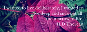 Henry Thoreau Quote