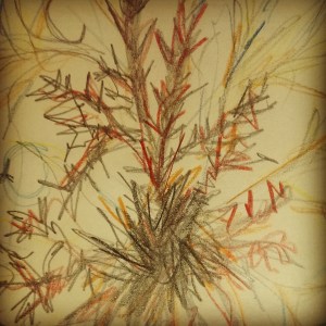 sketching practice - day 1